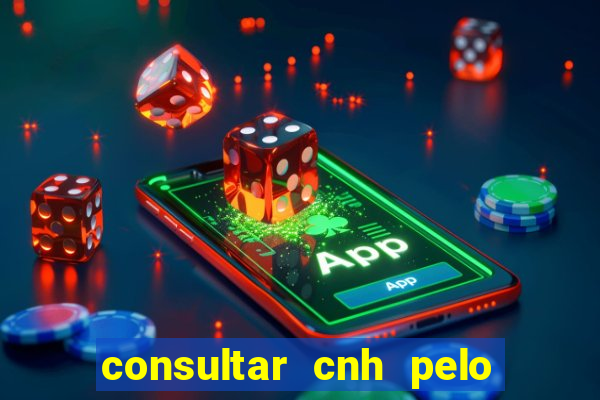 consultar cnh pelo cpf sp