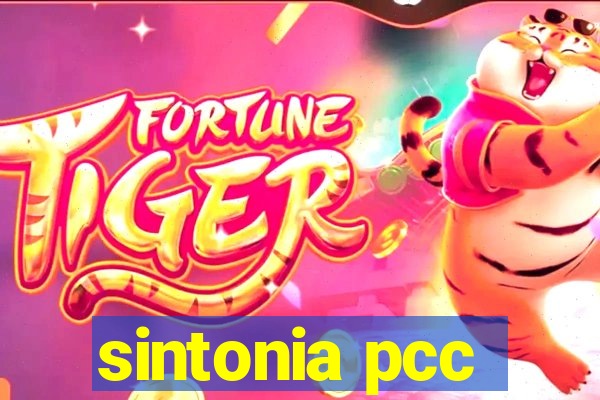 sintonia pcc