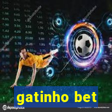 gatinho bet