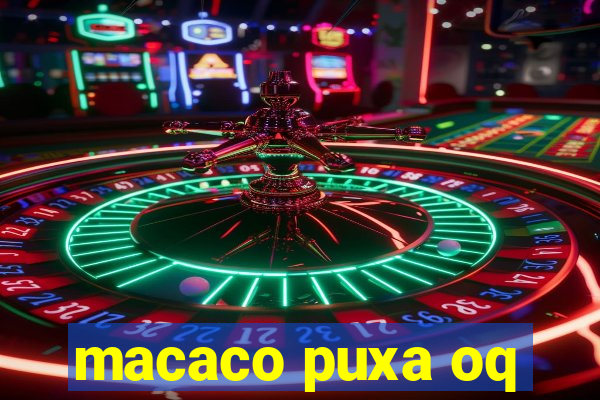 macaco puxa oq