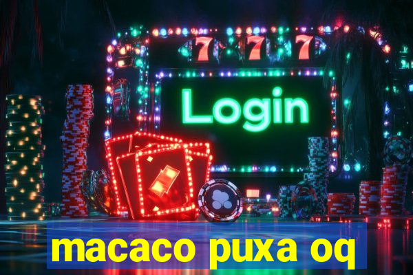 macaco puxa oq