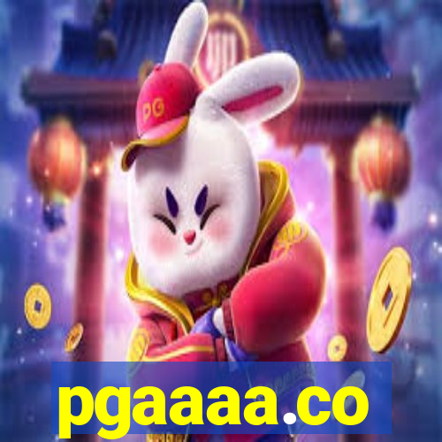 pgaaaa.co