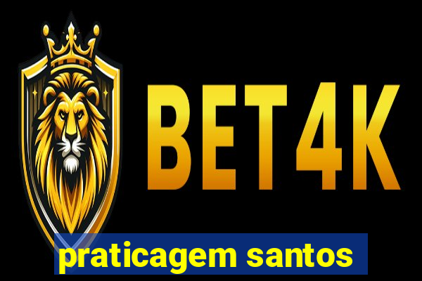 praticagem santos