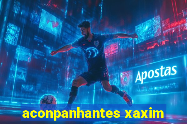 aconpanhantes xaxim