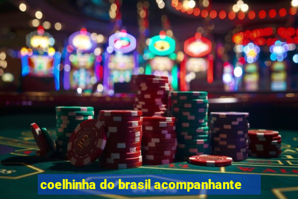 coelhinha do brasil acompanhante