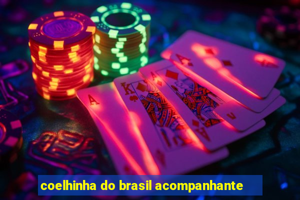 coelhinha do brasil acompanhante