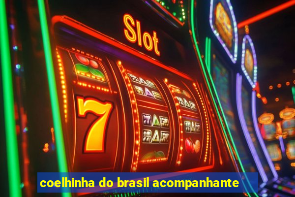 coelhinha do brasil acompanhante