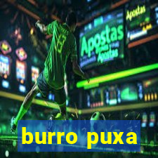 burro puxa