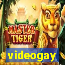 videogay