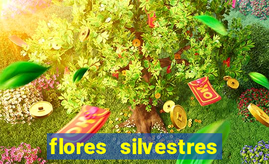 flores silvestres desbravadores desbravadores 25