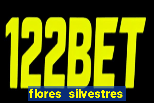 flores silvestres desbravadores desbravadores 25