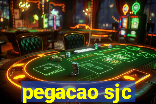 pegacao sjc