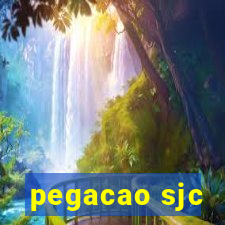 pegacao sjc