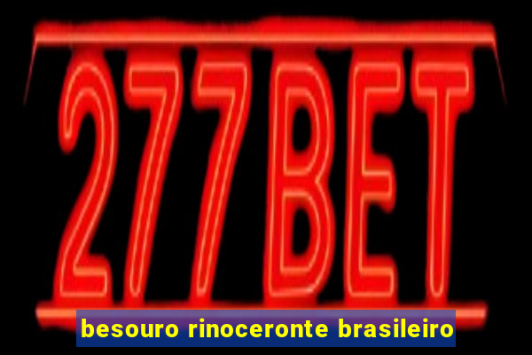 besouro rinoceronte brasileiro