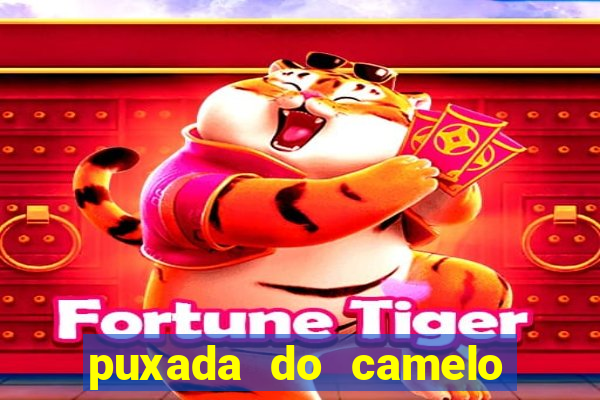 puxada do camelo no jogo do bicho