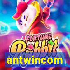 antwincom