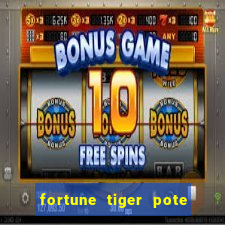 fortune tiger pote de ouro