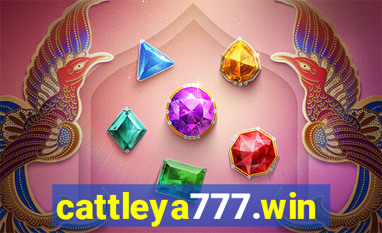 cattleya777.win