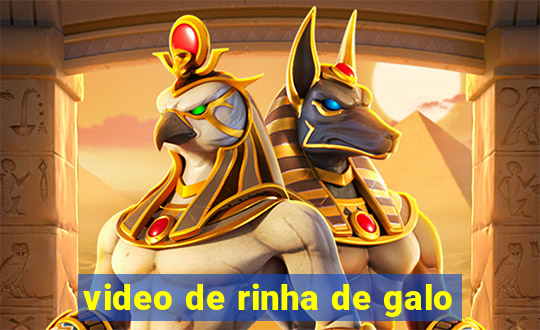 video de rinha de galo