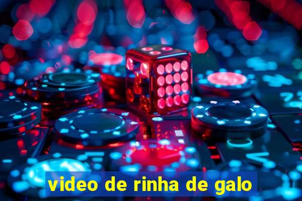 video de rinha de galo