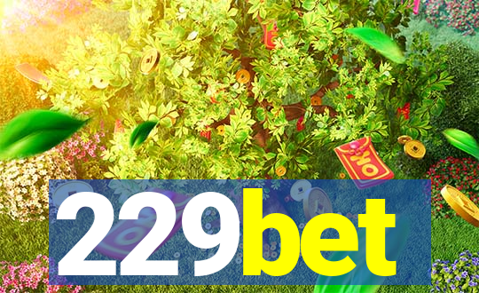 229bet