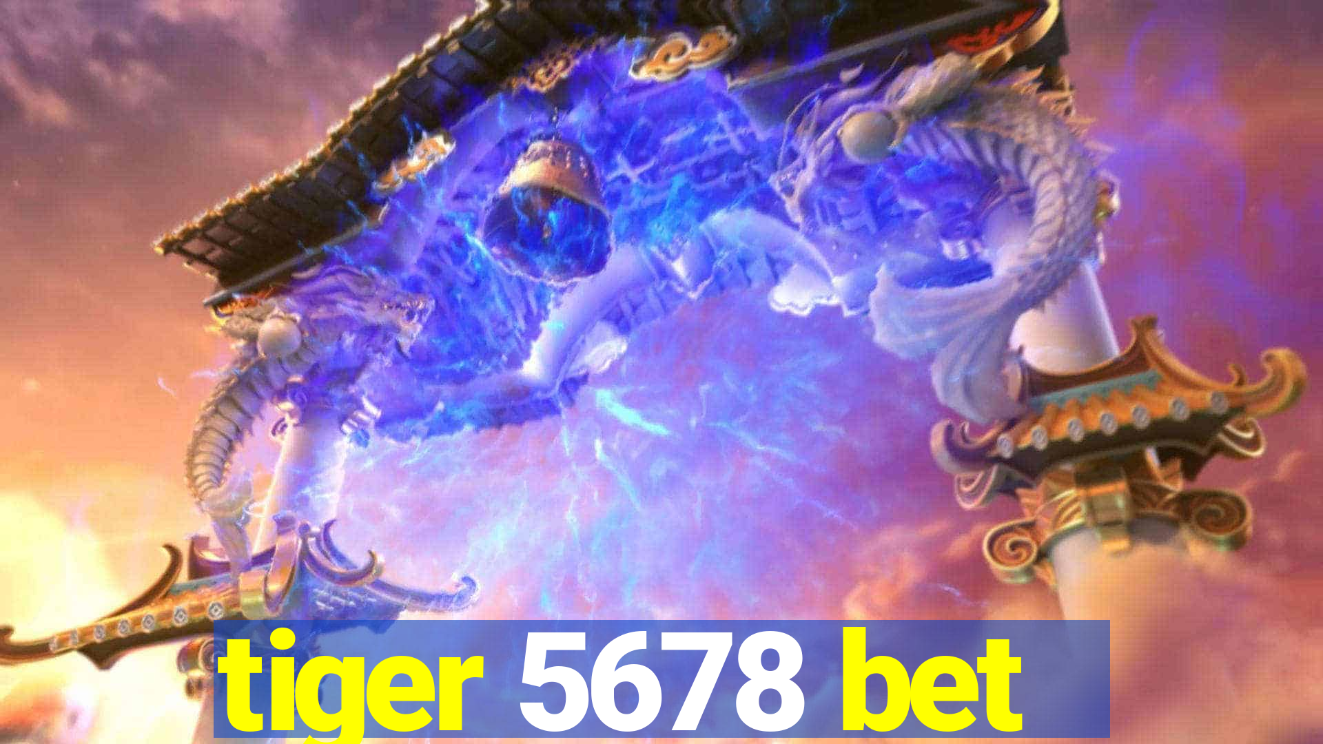 tiger 5678 bet