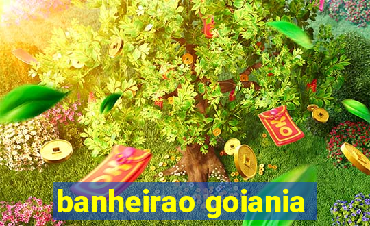 banheirao goiania