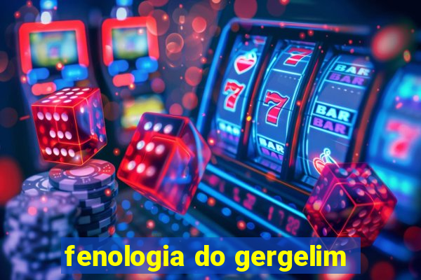 fenologia do gergelim