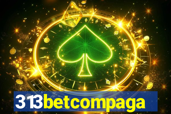 313betcompaga