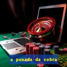 a puxada da cobra no jogo do bicho