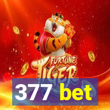 377 bet