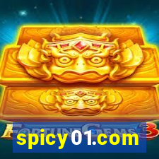 spicy01.com