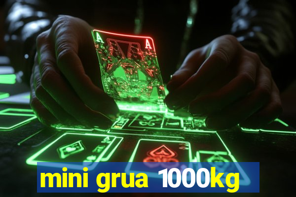 mini grua 1000kg