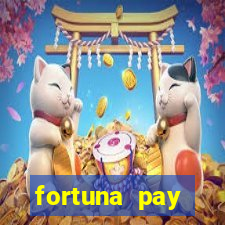 fortuna pay consultoria financeira ltda