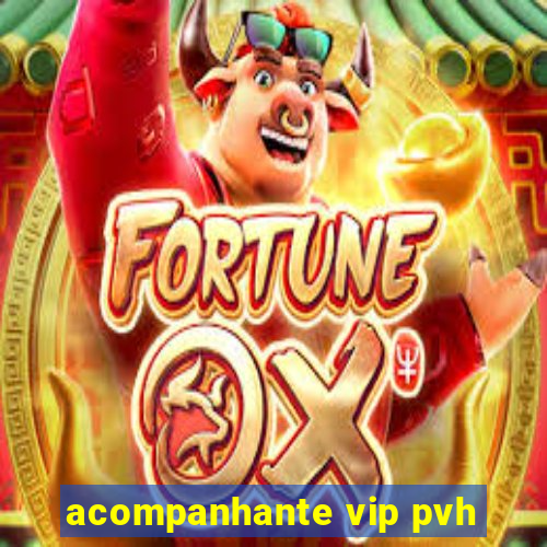 acompanhante vip pvh