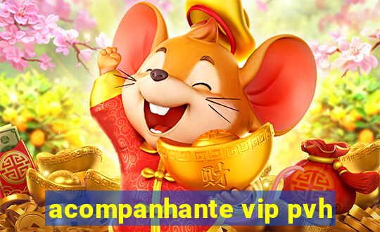 acompanhante vip pvh