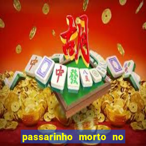 passarinho morto no quintal significado espiritual