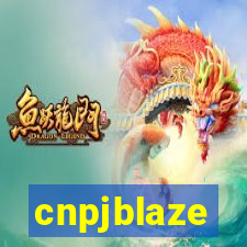 cnpjblaze