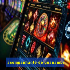 acompanhante de guanambi