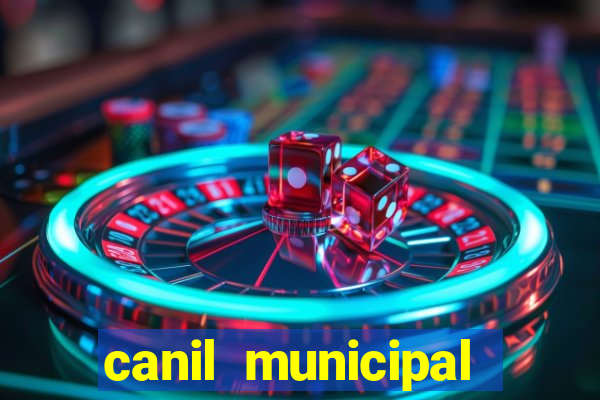 canil municipal porto alegre