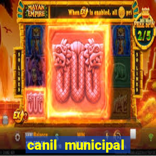 canil municipal porto alegre