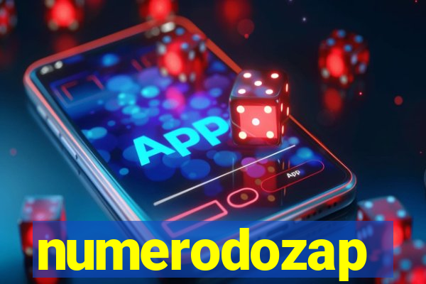 numerodozap