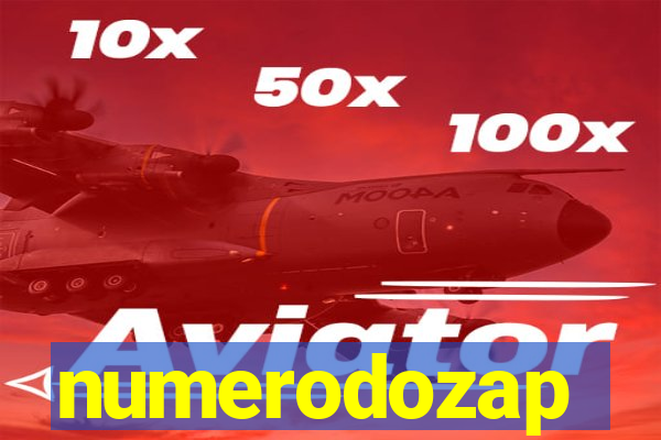 numerodozap