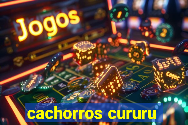 cachorros cururu