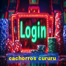 cachorros cururu