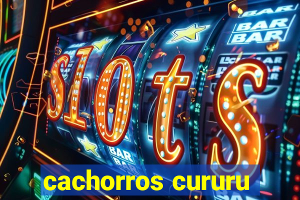 cachorros cururu