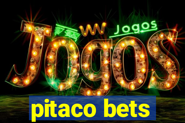 pitaco bets