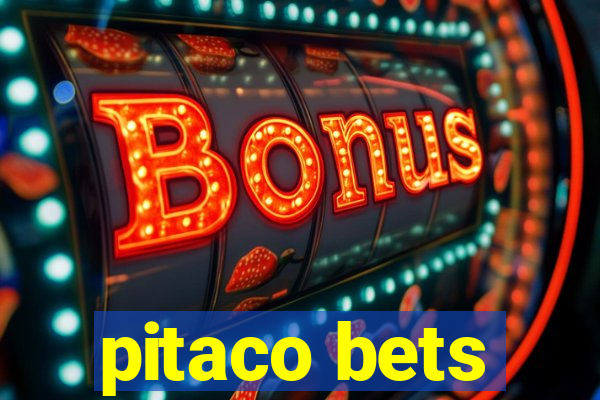 pitaco bets