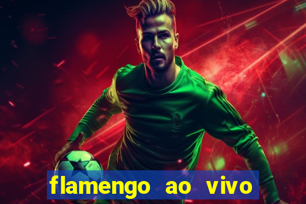 flamengo ao vivo multi tv