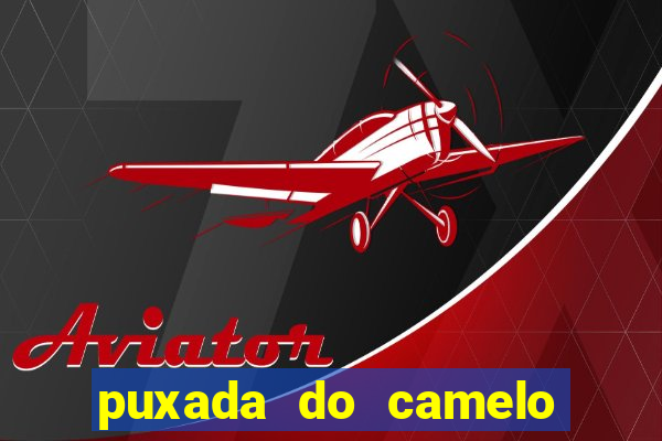 puxada do camelo jogo do bicho